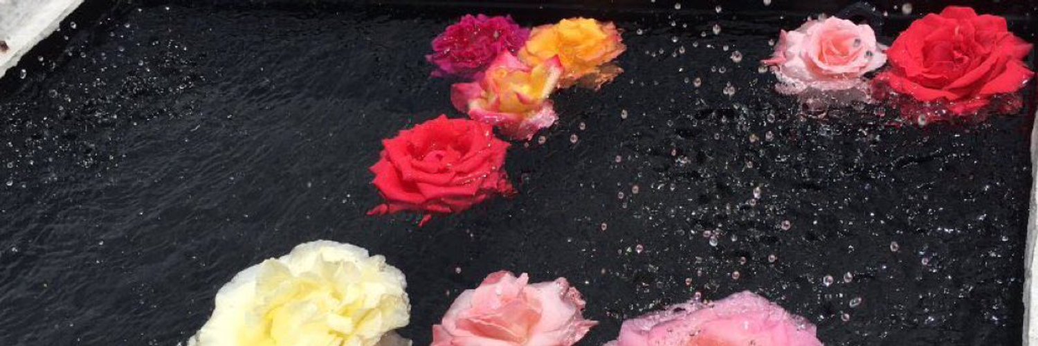 OnDaiquiri's profile banner image