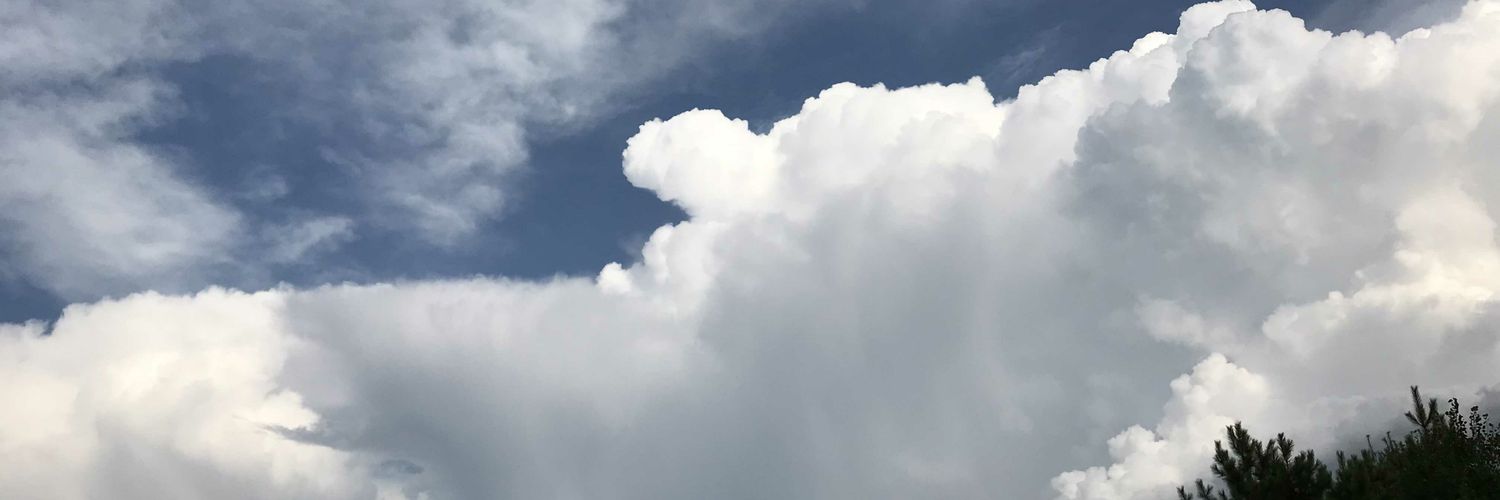 paigebauer14's profile banner image