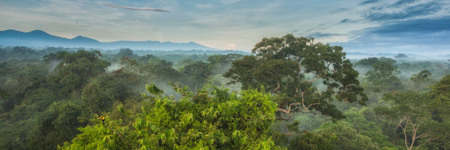 NoeBiodiversite's profile banner image