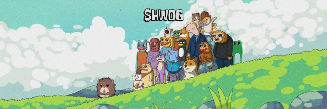 HWOGsolana's profile banner image
