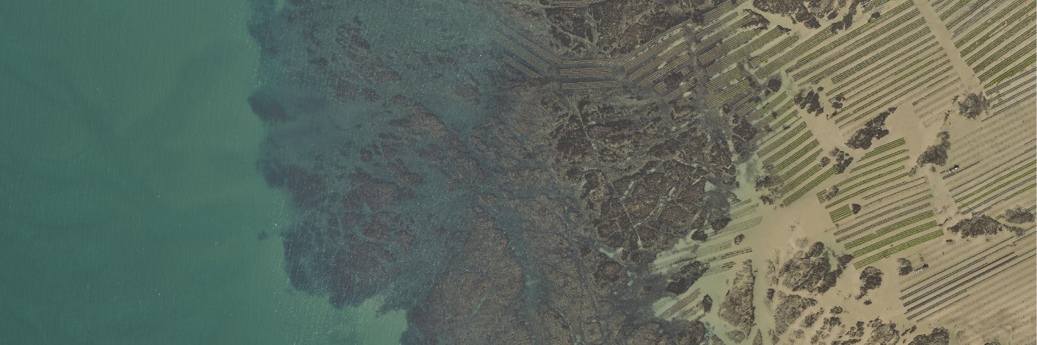 ROL_NHdF's profile banner image