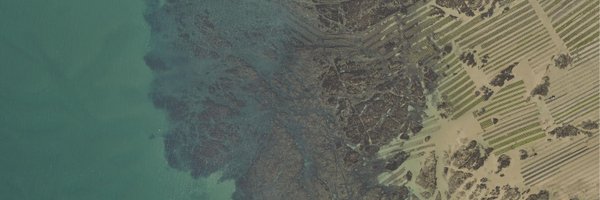 ROL_NHdF Profile Banner