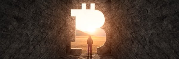 YAScryptoBOY's profile banner image