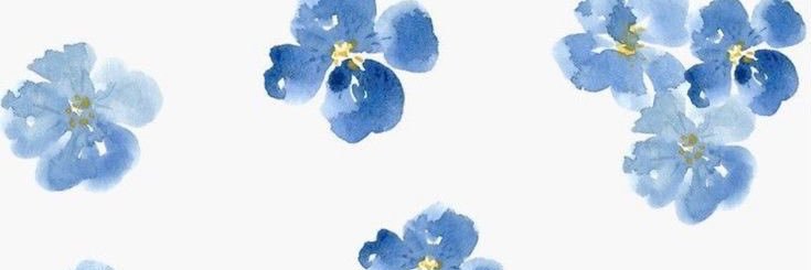 eve 🦋🩵 banner