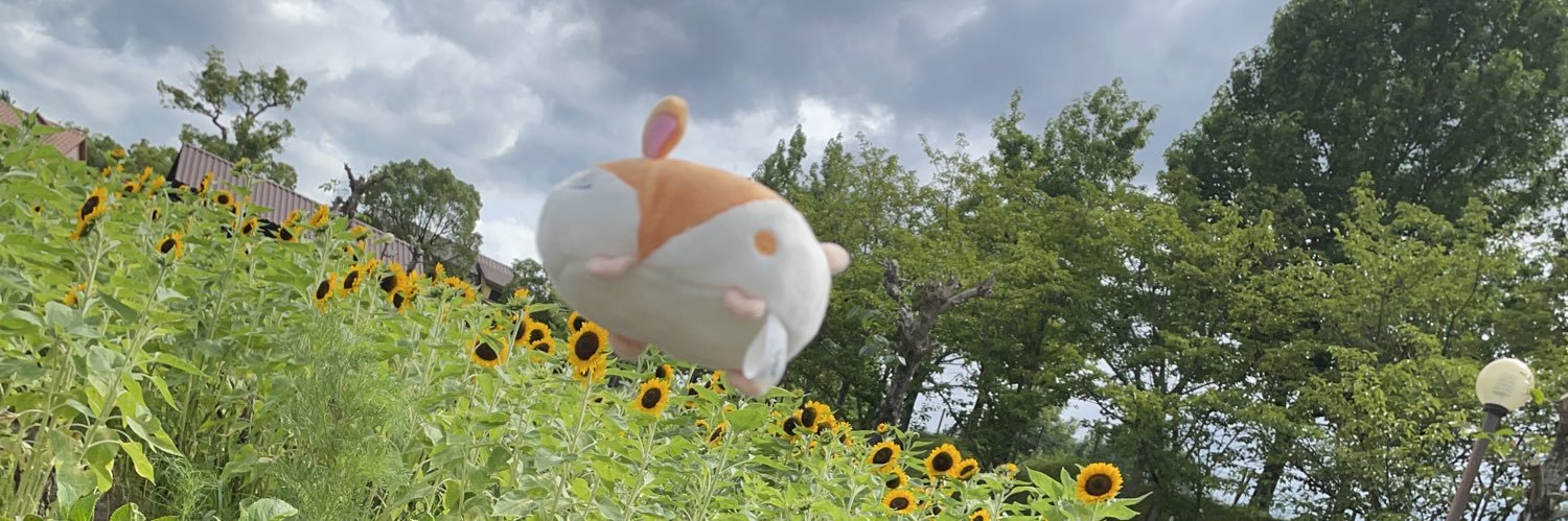 ankinmo's profile banner image