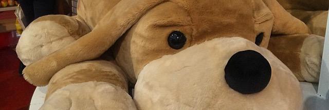 lakeu_th's profile banner image