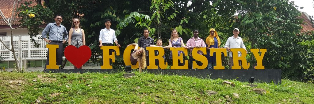BUForestry's profile banner image