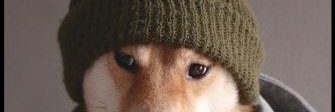 askhayash's profile banner image