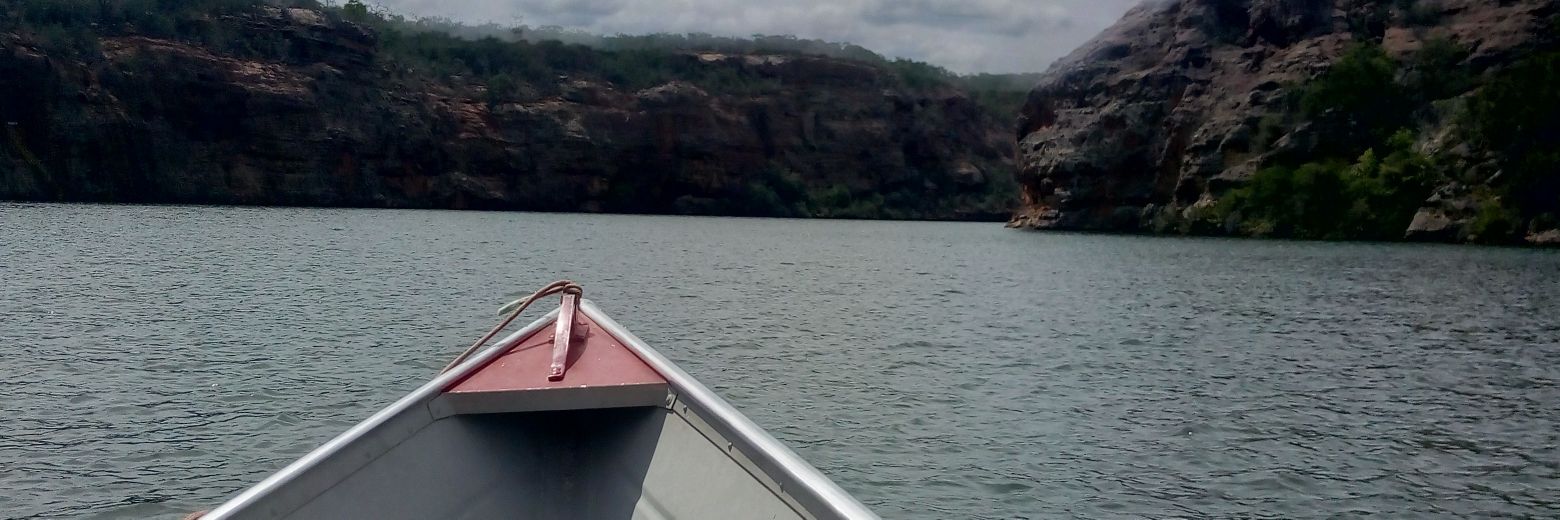 Davi Felix de Oliveira banner