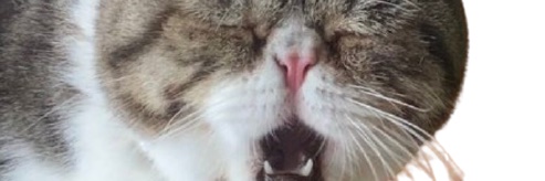 carko199's profile banner image