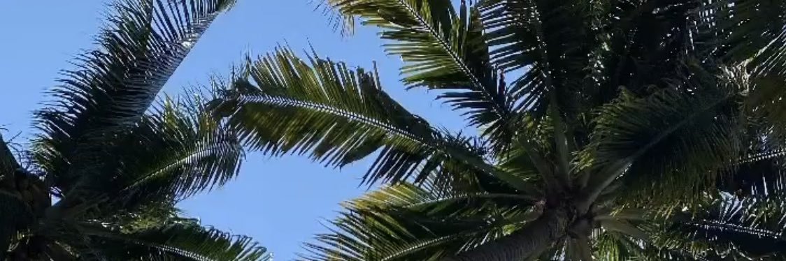 Armando_Jul's profile banner image
