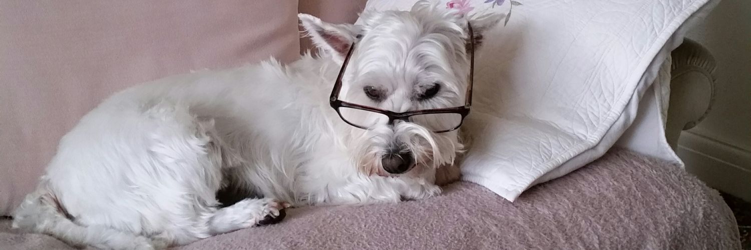 Mel & Holly the Westie 🌈 22/2/2011 - 17/04/2023 banner
