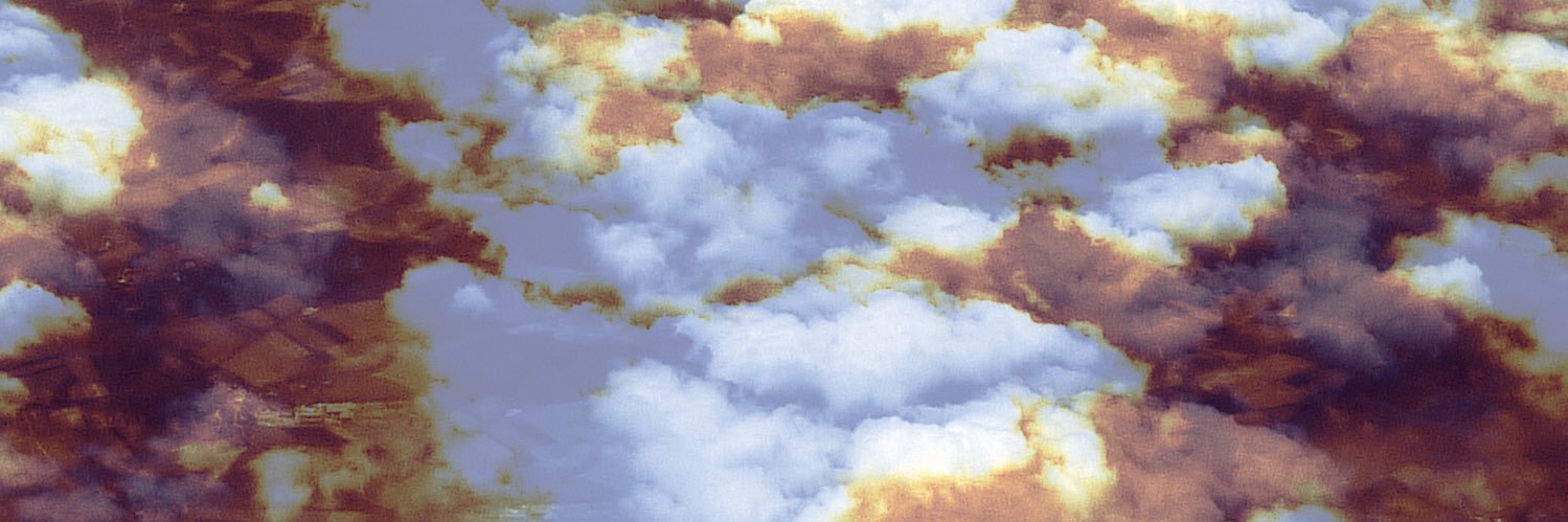 W o l f  S o l e n t banner