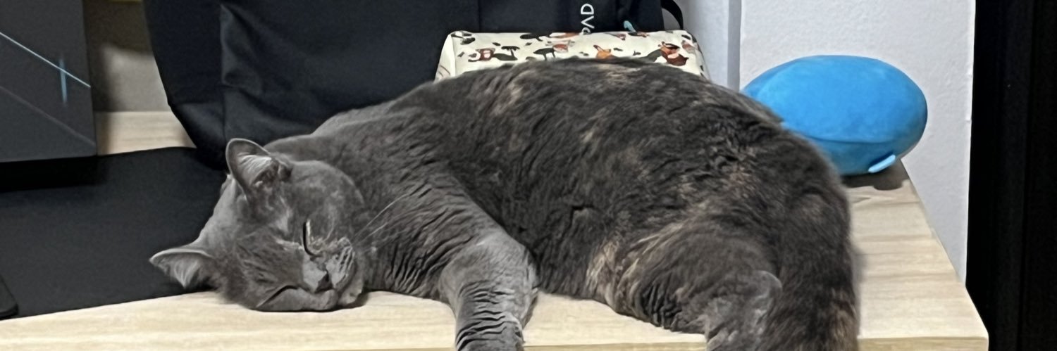 babeera2's profile banner image
