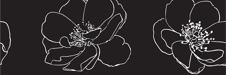 CamilleNeis's profile banner image