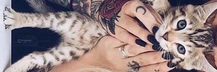 1025Stk's profile banner image
