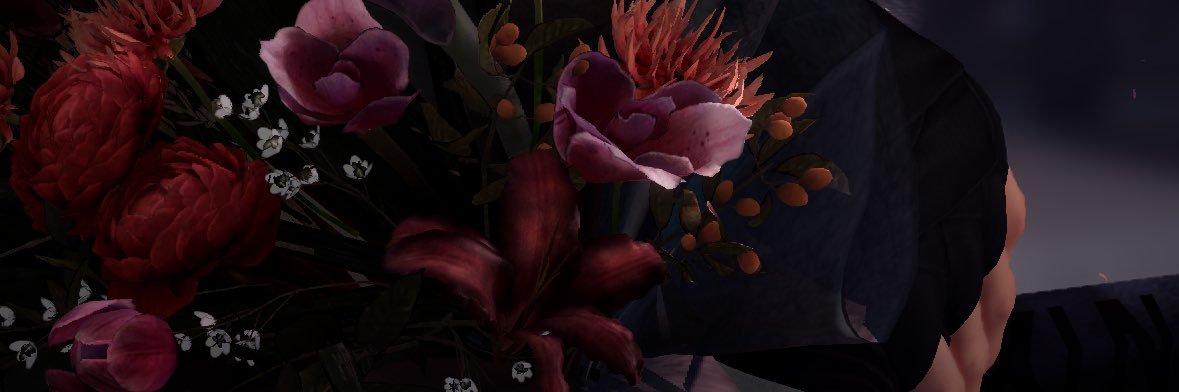 xenia ᝰ.ᥫ᭡ banner