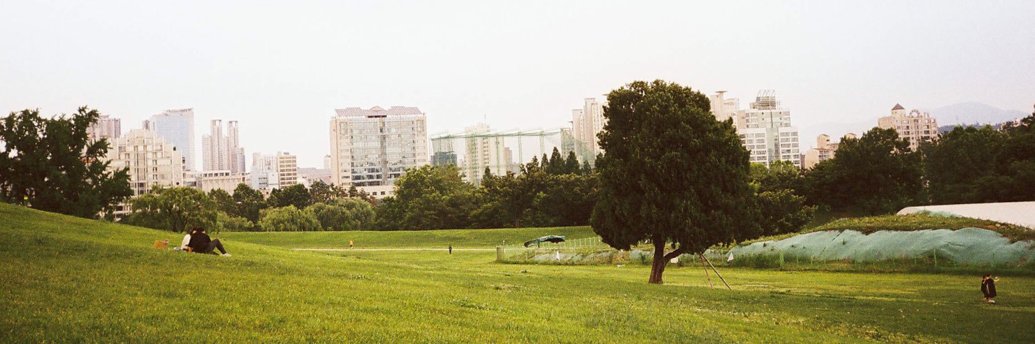 sine banner
