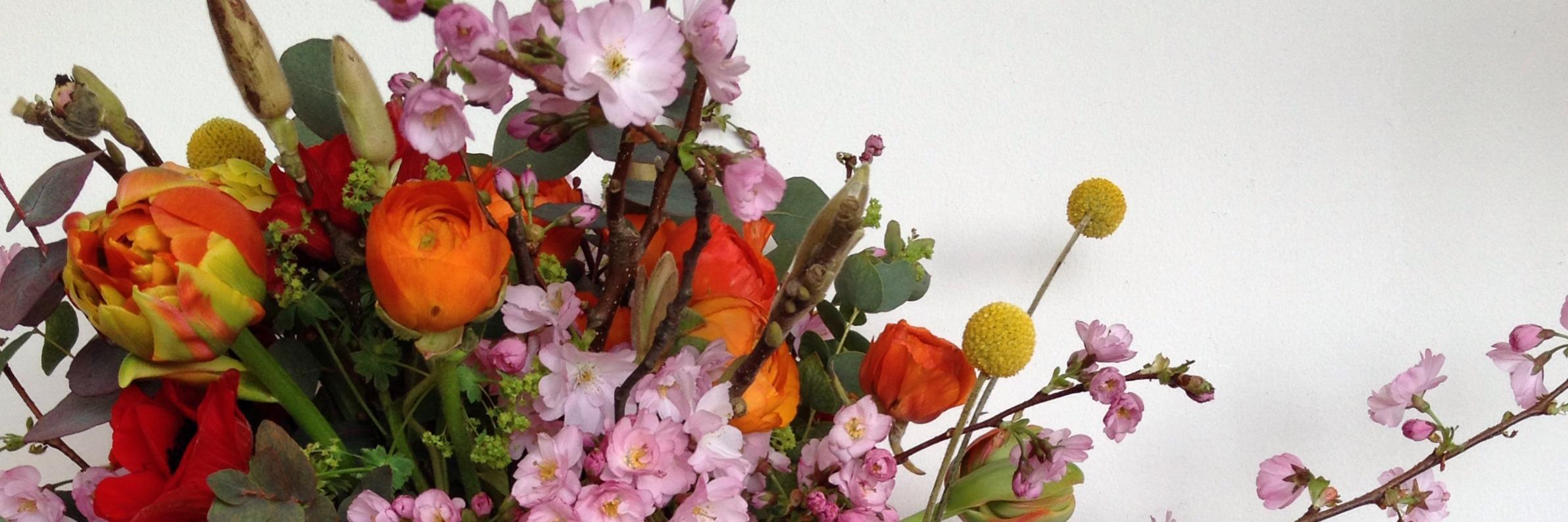 Augustus_Bloom's profile banner image