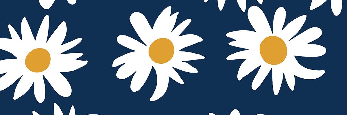 隙間屋さしみ banner