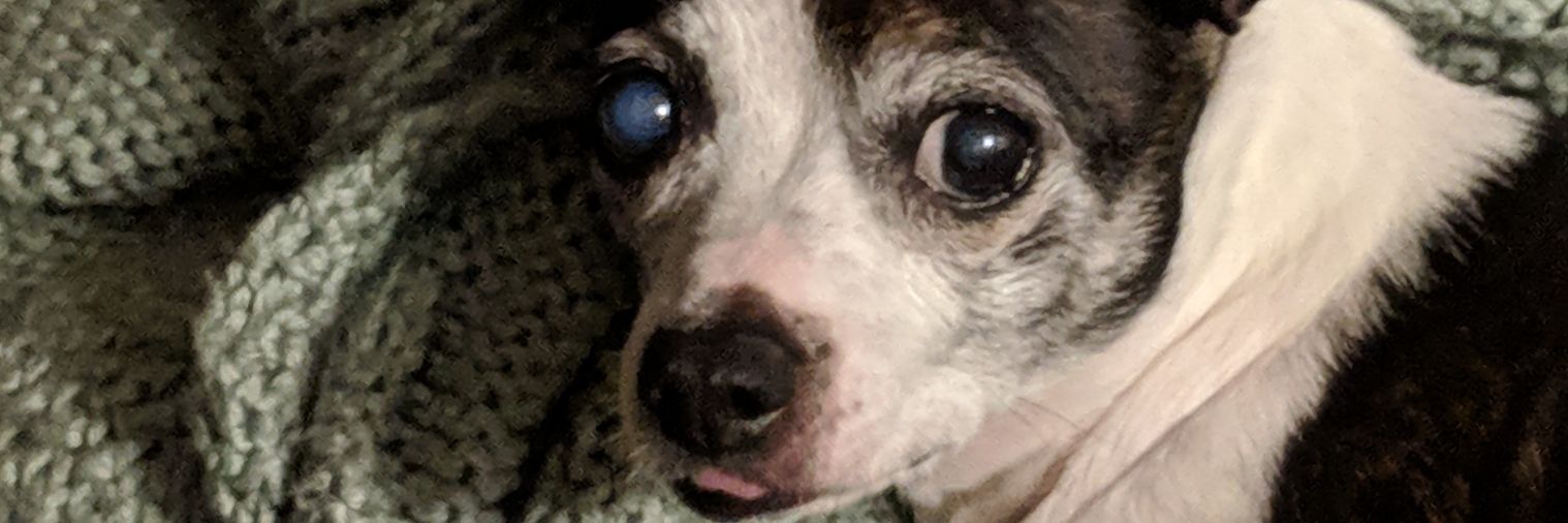 Let the Right Robyn banner