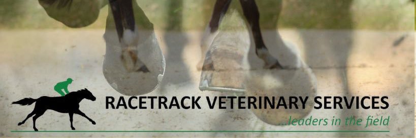 RVS | RacetrackVetServices banner