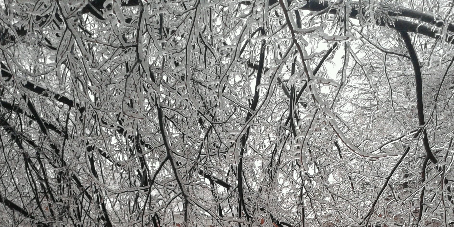 EmZymes69's profile banner image