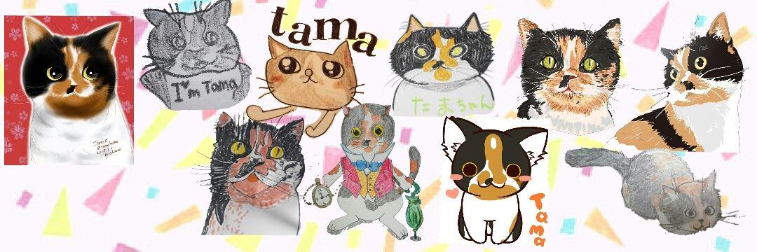tamaheme's profile banner image