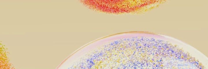 SH_Discoveries's profile banner image
