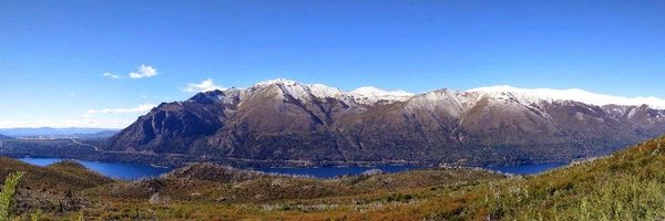 alex_pulver Profile Banner