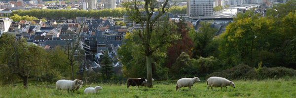 BenjaHermann Profile Banner