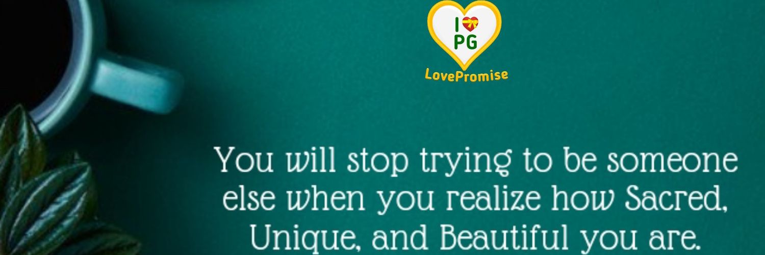 LovePromise13's profile banner image