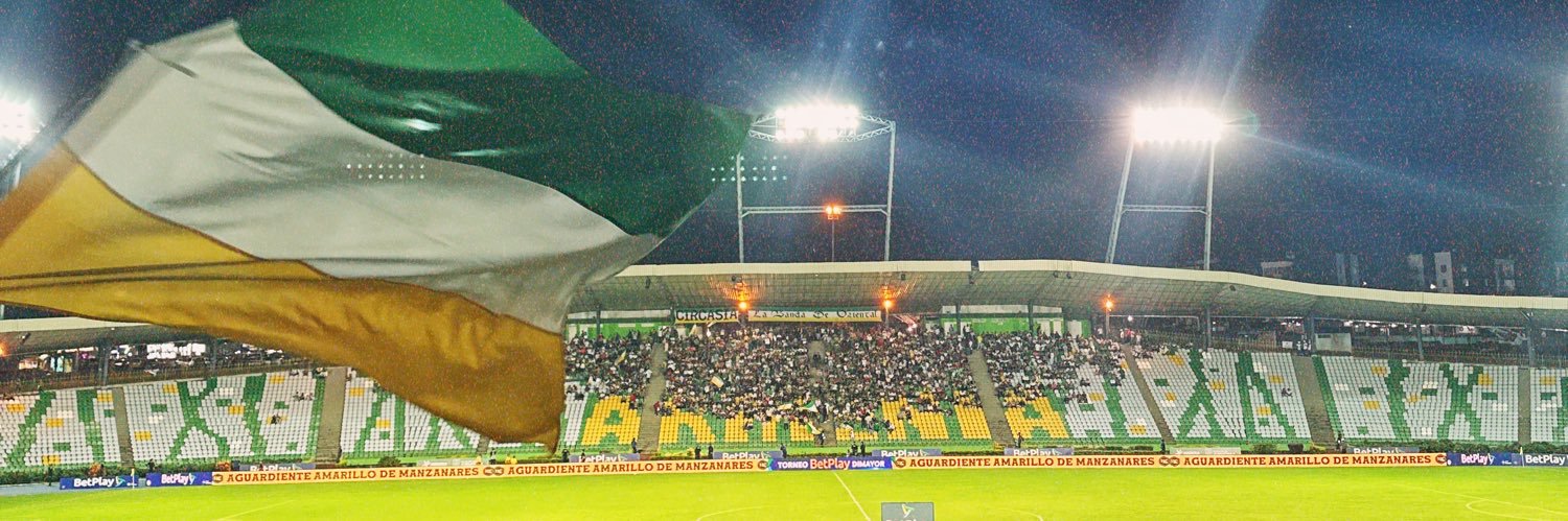 Maria Paula Arias banner