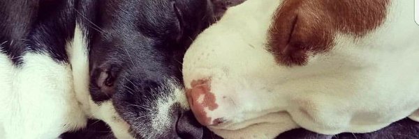 MiLLeNNiumIAM Profile Banner