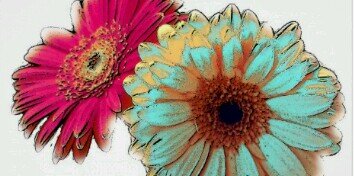 Yanez_Oma's profile banner image