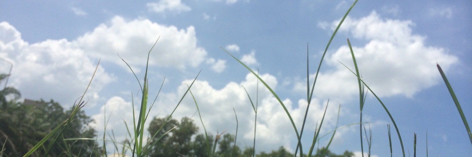 KoatPk's profile banner image