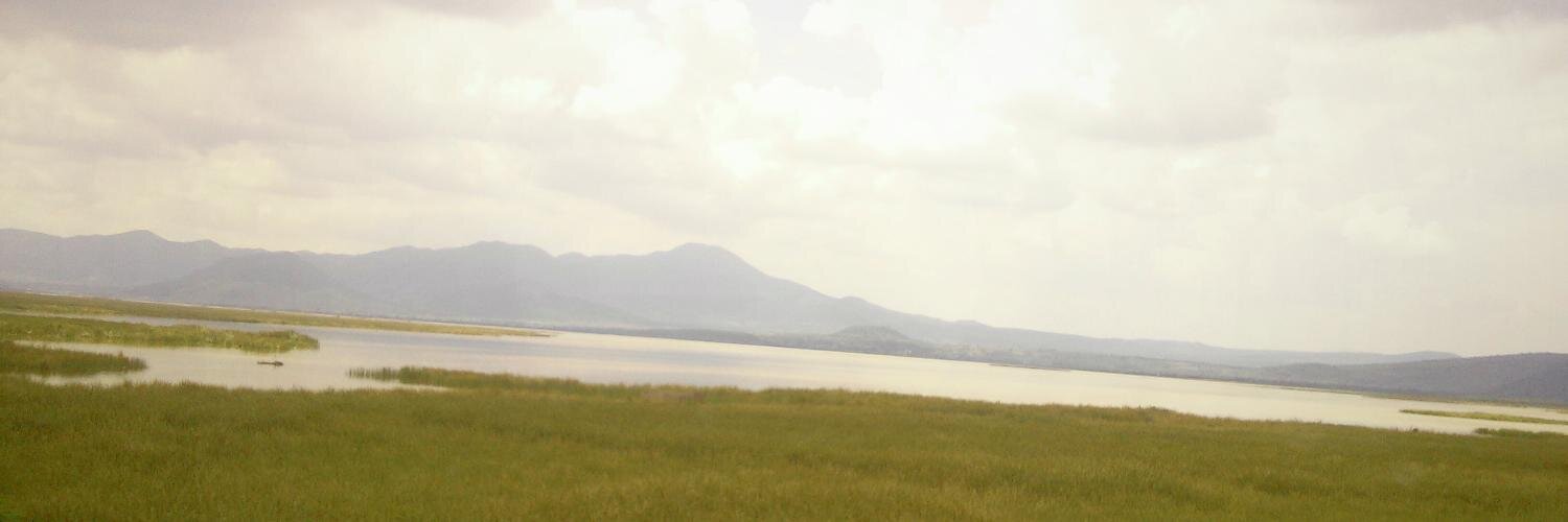 Arturo banner