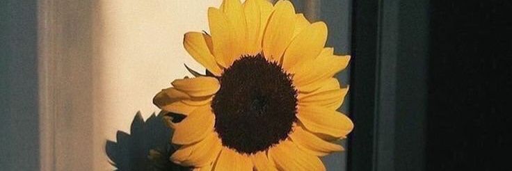 VirJacobacci's profile banner image