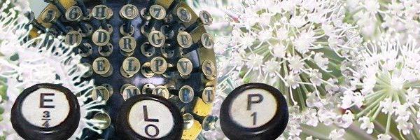 ELPediteur's profile banner image