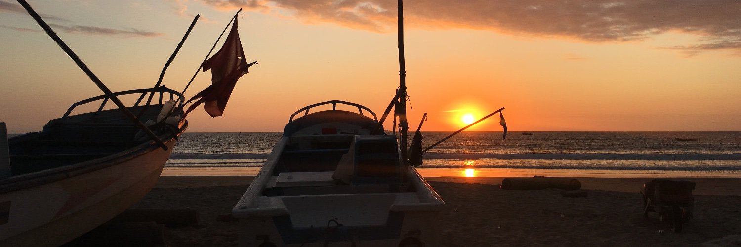 Cristina Salmon banner