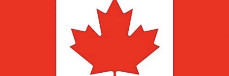 Michael Zigomanis banner