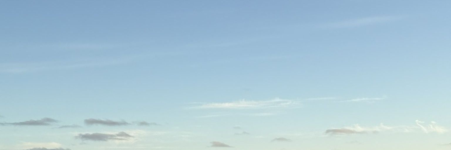 fearstrings's profile banner image