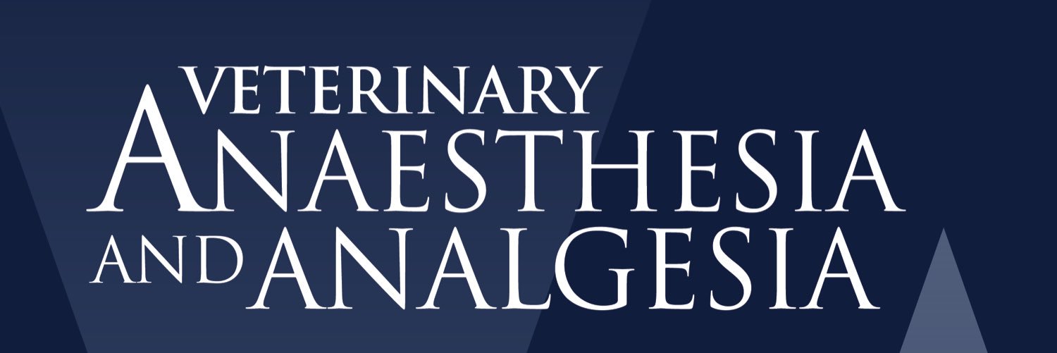 VAAEditor's profile banner image