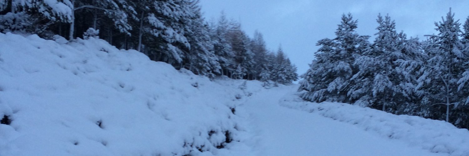 Kiryon Skippen banner