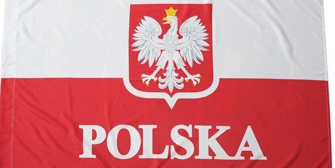 Mr Polska banner
