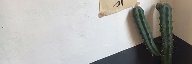 1%🍁 banner