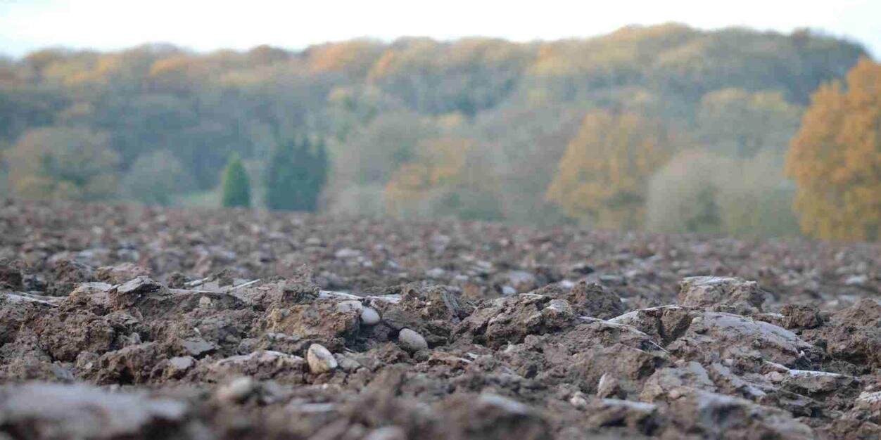Soil Research banner