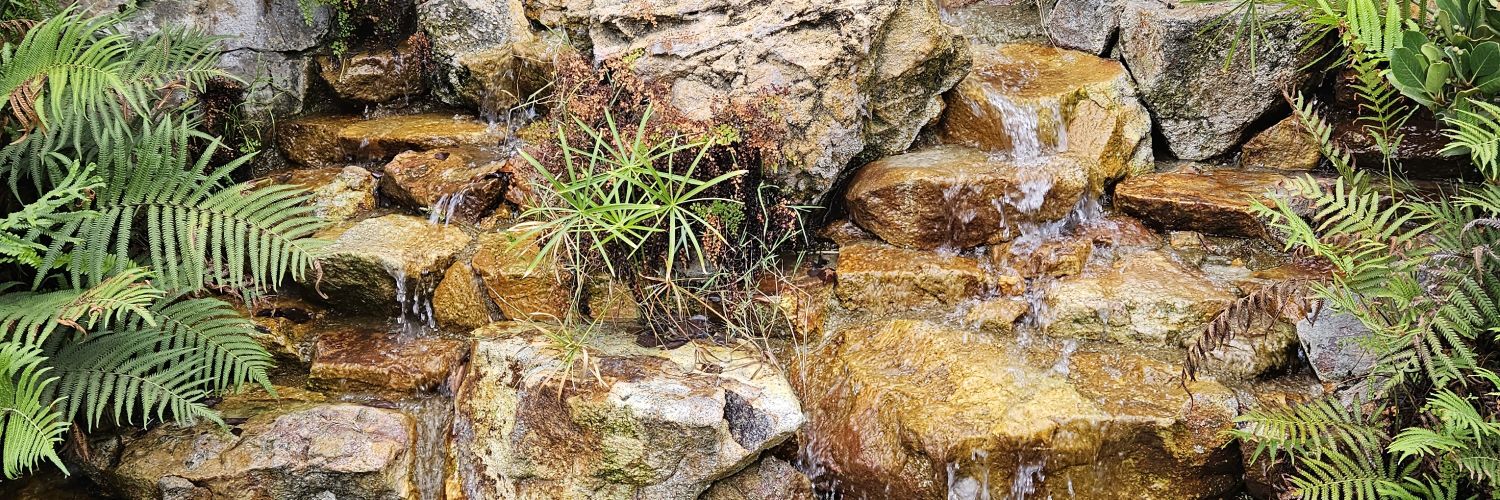 Scripted_VisionNY banner