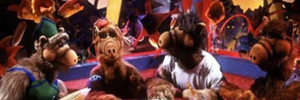 alf_melmackc's profile banner image