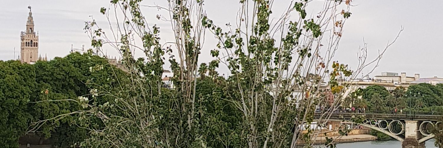 Elystylo's profile banner image